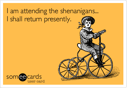 I am attending the shenanigans...       I shall return presently.