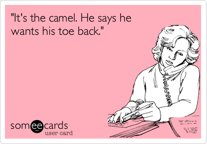 "It's the camel. He says he 
wants his toe back."