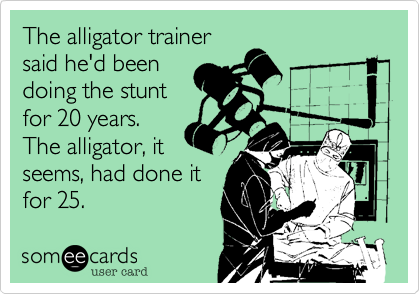 The alligator trainer
said he'd been
doing the stunt
for 20 years. 
The alligator, it
seems, had done it
for 25.