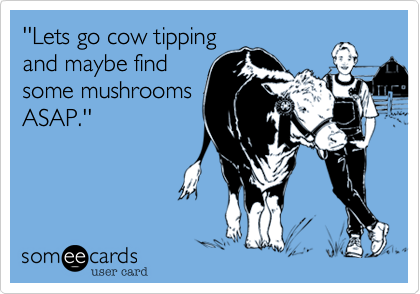 ''Lets go cow tipping
and maybe find
some mushrooms
ASAP.''
