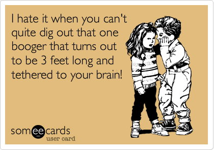 I hate it when you can't
quite dig out that one
booger that turns out
to be 3 feet long and
tethered to your brain!