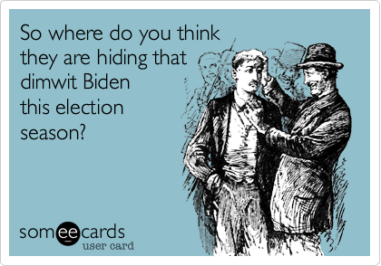 So where do you think
they are hiding that 
dimwit Biden
this election 
season?