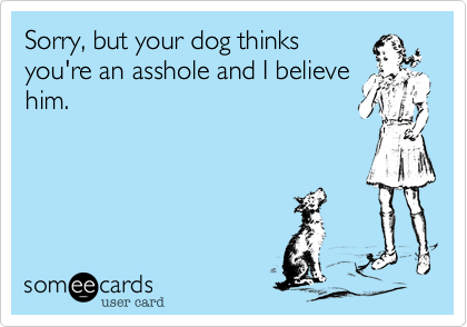 Sorry, but your dog thinks
you're an asshole and I believe
him.