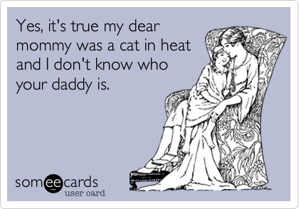 Yes, it's true my dear
mommy was a cat in heat
and I don't know who
your daddy is. 