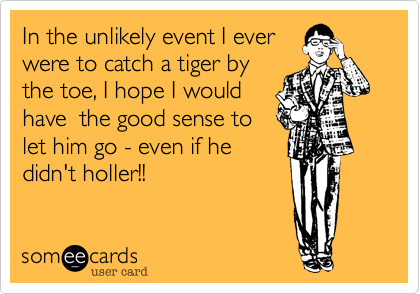 In the unlikely event I ever
were to catch a tiger by
the toe, I hope I would
have  the good sense to
let him go - even if he
didn't holler!!