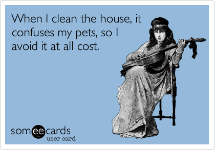 When I clean the house, it
confuses my pets, so I
avoid it at all cost.