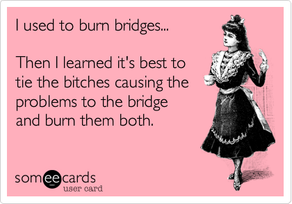 I used to burn bridges...

Then I learned it's best to 
tie the bitches causing the
problems to the bridge 
and burn them both.