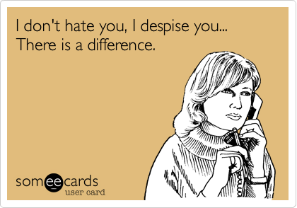 I don't hate you, I despise you...
There is a difference.