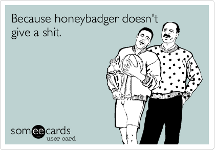 Because honeybadger doesn't
give a shit.