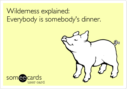 Wilderness explained:    
Everybody is somebody's dinner.