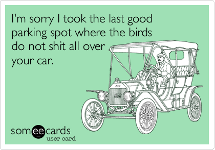 I'm sorry I took the last good parking spot where the birds
do not shit all over
your car.