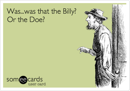 Was...was that the Billy? 
Or the Doe? 