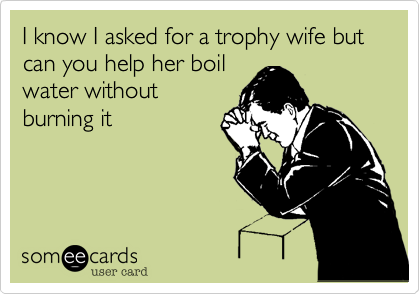 I know I asked for a trophy wife but can you help her boil
water without
burning it 