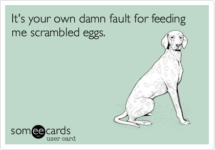 It's your own damn fault for feeding me scrambled eggs. 