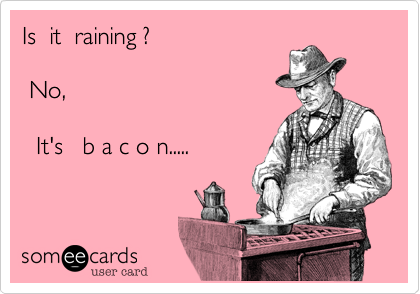 Is  it  raining ?

 No,

  It's   b a c o n.....