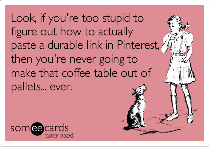 Look, if you're too stupid to
figure out how to actually
paste a durable link in Pinterest,
then you're never going to
make that coffee table out of
pallets... ever.