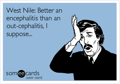 West Nile: Better an
encephalitis than an
out-cephalitis, I
suppose...