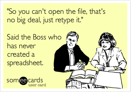 "So you can't open the file, that's no big deal, just retype it."   

Said the Boss who
has never
created a
spreadsheet. 