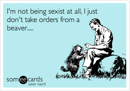 I'm not being sexist at all, I just don't take orders from a
beaver.....