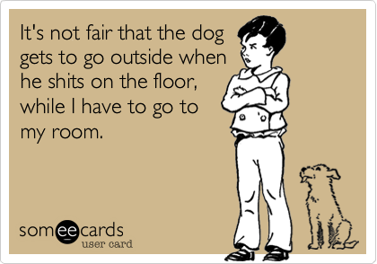 It's not fair that the dog
gets to go outside when 
he shits on the floor,
while I have to go to
my room.