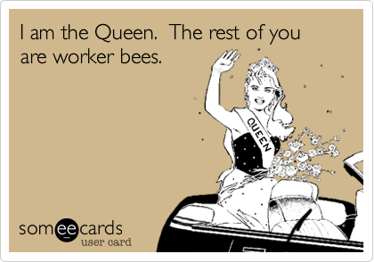 I am the Queen.  The rest of you are worker bees.  