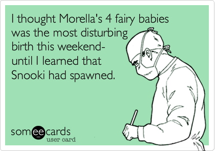 I thought Morella's 4 fairy babies was the most disturbing 
birth this weekend- 
until I learned that 
Snooki had spawned.