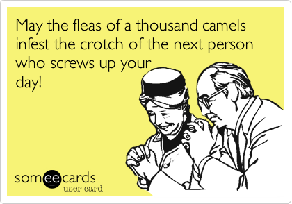 May the fleas of a thousand camels infest the crotch of the next person who screws up your
day!