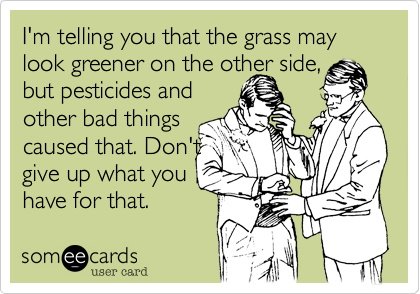 I'm telling you that the grass may look greener on the other side,
but pesticides and
other bad things
caused that. Don't 
give up what you
have for that.