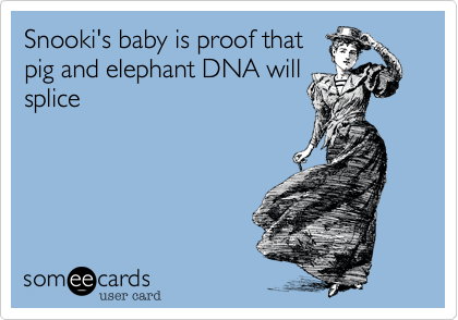 Snooki's baby is proof that
pig and elephant DNA will
splice