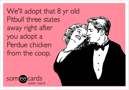 We'll adopt that 8 yr old         Pitbull three states  
away right after
you adopt a
Perdue chicken
from the coop. 