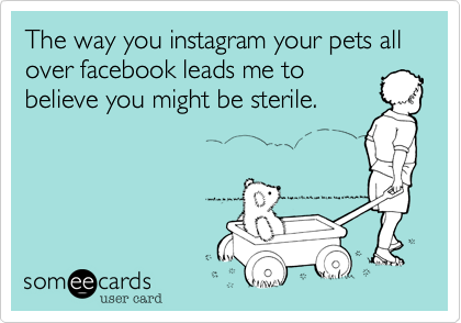 The way you instagram your pets all over facebook leads me to
believe you might be sterile. 