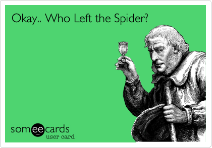 Okay.. Who Left the Spider?

