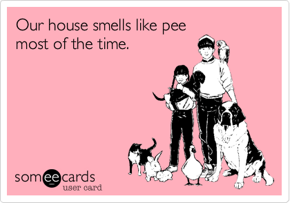 Our house smells like pee
most of the time.