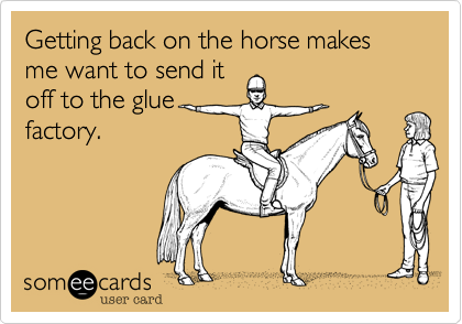 Getting back on the horse makes me want to send it
off to the glue
factory.