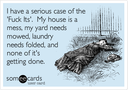 I have a serious case of the
'Fuck Its'.  My house is a
mess, my yard needs
mowed, laundry
needs folded, and
none of it's
getting done.
Bring on the
beer and ice cream. 