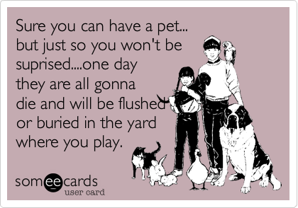 Sure you can have a pet...
but just so you won't be
suprised....one day
they are all gonna
die and will be flushed
or buried in the yard
where you play.