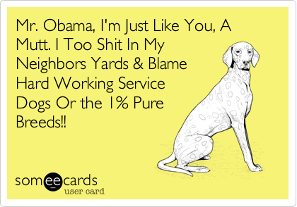 Mr. Obama, I'm Just Like You, A Mutt. I Too Shit In My
Neighbors Yards & Blame
Hard Working Service
Dogs Or the 1% Pure
Breeds!!