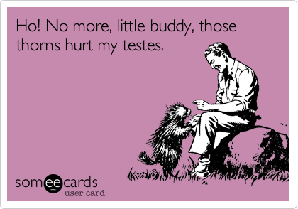 Ho! No more, little buddy, those thorns hurt my testes.
