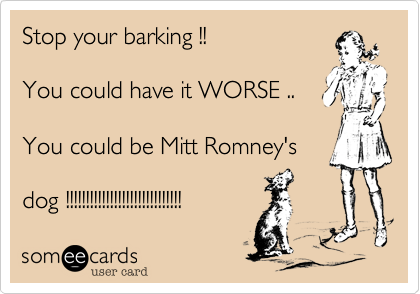 Stop your barking !!

You could have it WORSE ..

You could be Mitt Romney's

dog !!!!!!!!!!!!!!!!!!!!!!!!!!!!!
