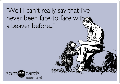 "Well I can't really say that I've never been face-to-face with 
a beaver before..."