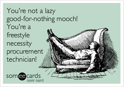 You're not a lazy
good-for-nothing mooch!
You're a 
freestyle
necessity
procurement
technician!