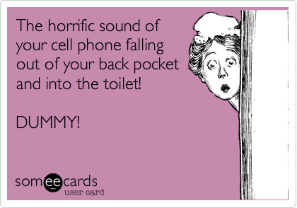 The horrific sound of
your cell phone falling
out of your back pocket
and into the toilet!

DUMMY!