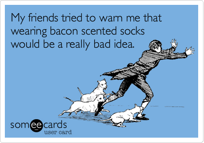 My friends tried to warn me that 
wearing bacon scented socks
would be a really bad idea.