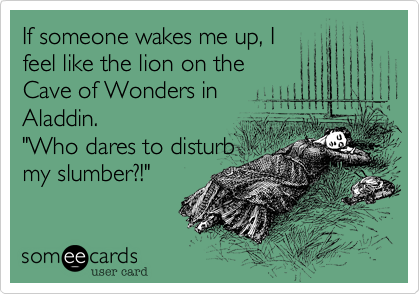 If someone wakes me up, I
feel like the lion on the 
Cave of Wonders in 
Aladdin. 
"Who dares to disturb
my slumber?!"