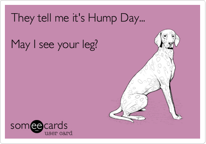 They tell me it's Hump Day...

May I see your leg?