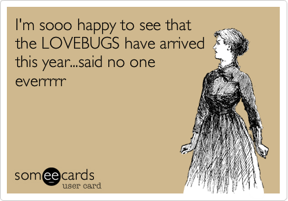I'm sooo happy to see that
the LOVEBUGS have arrived
this year...said no one
everrrrr