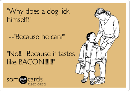 "Why does a dog lick
himself?" 

 --"Because he can?"

"No!!!  Because it tastes
like BACON!!!!!!!"