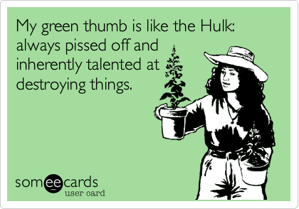 My green thumb is like the Hulk: always pissed off and
inherently talented at
destroying things.