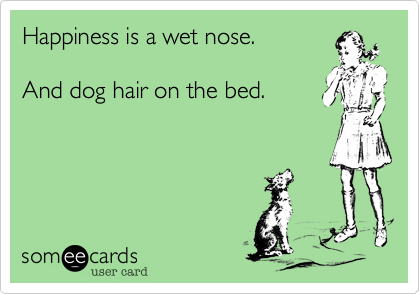 Happiness is a wet nose.

And dog hair on the bed.