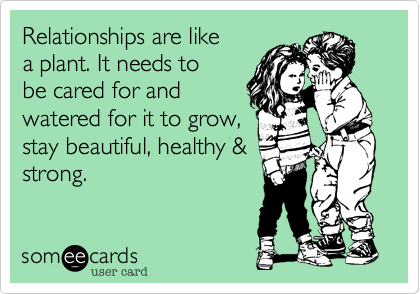 Relationships are like
a plant. It needs to
be cared for and
watered for it to grow,
stay beautiful, healthy &
strong.
